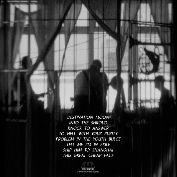 Виниловая пластинка Flesh World – Into The Shroud LP - рис.1