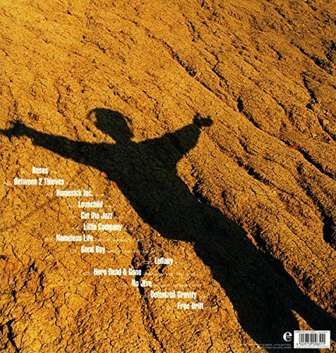 Виниловая пластинка DE-PHAZZ DETUNIZED GRAVITY LP - рис.1