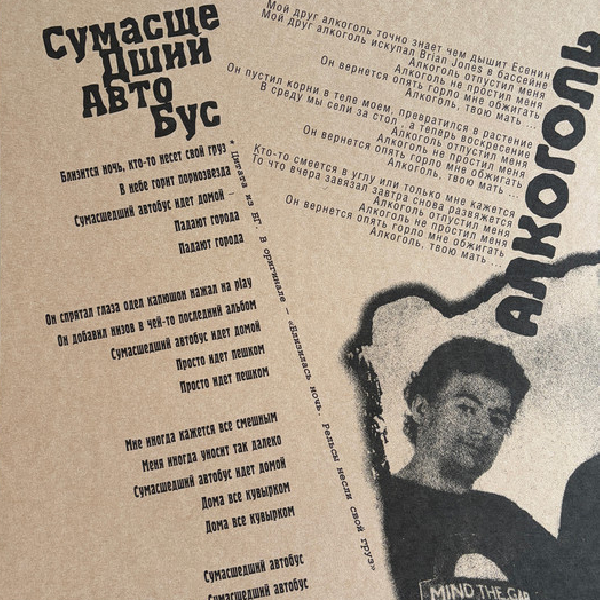 Виниловая пластинка Сплин - Альтависта (picture) LP - рис.8