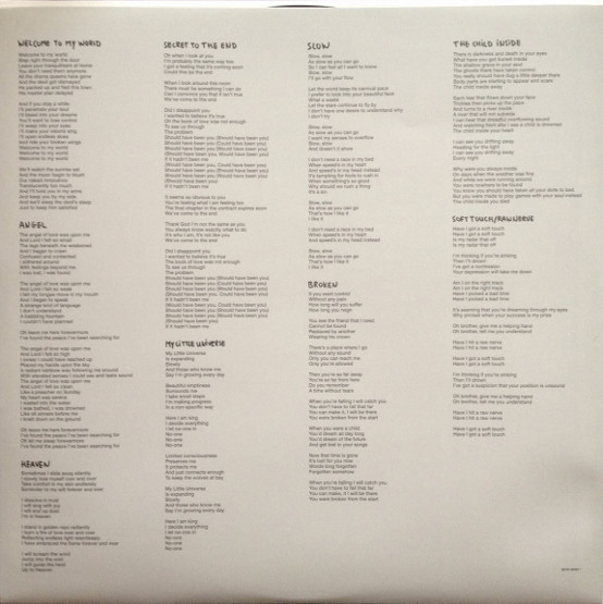 Виниловая пластинка Depeche Mode – Delta Machine - 2LP - рис.10