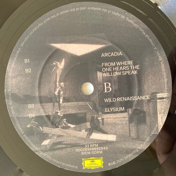 Виниловая пластинка Joep Beving - Liminal - 2LP - рис.5