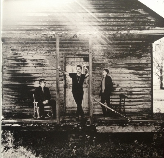 Виниловая пластинка Depeche Mode – Delta Machine - 2LP - рис.9