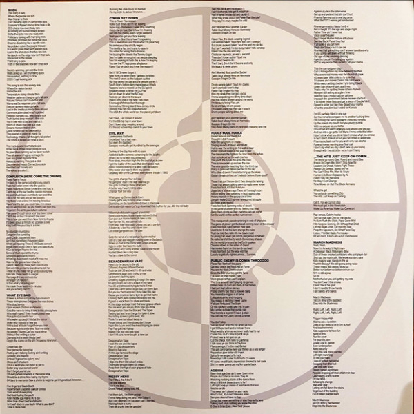 Виниловая пластинка Public Enemy – Black Sky Over The Projects: Apartment 2025 LP - рис.2