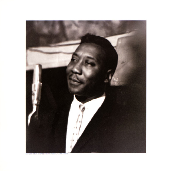 Виниловая пластинка Muddy Waters - Muddy, Brass & The Blues (Acoustic sounds) LP - рис.3