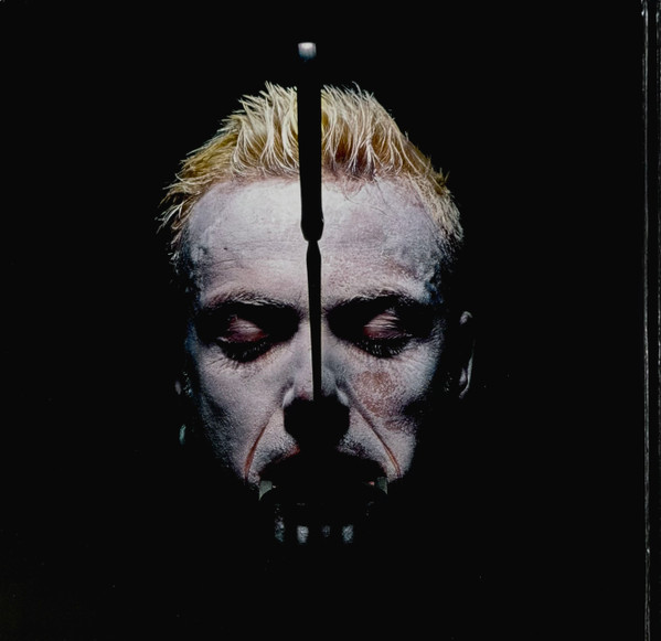 Виниловая пластинка Rammstein Sehnsucht - 2LP - рис.9