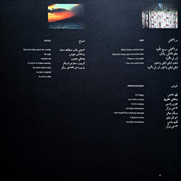 Виниловая пластинка Yasmine Hamdan - I Remember I Forget LP - рис.10