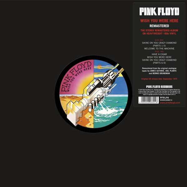 Виниловая пластинка Pink Floyd – Wish You Were Here LP - рис.0