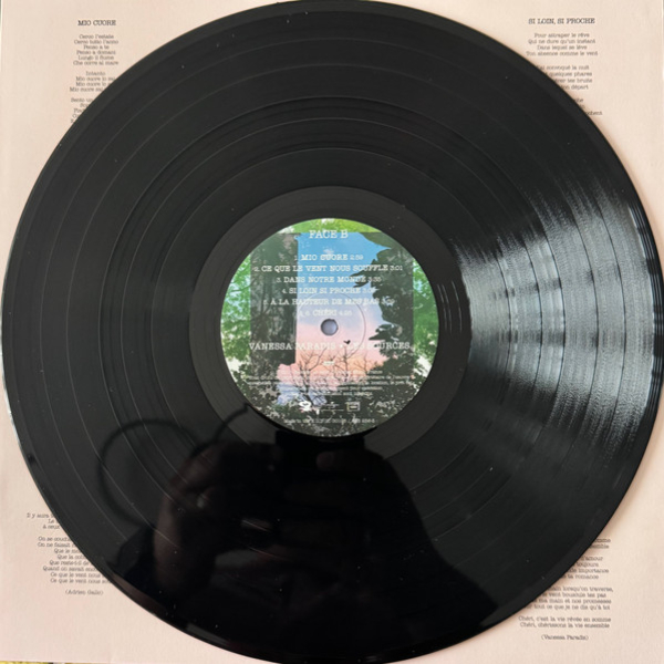 Виниловая пластинка Vanessa Paradis - Les Sources LP - рис.6