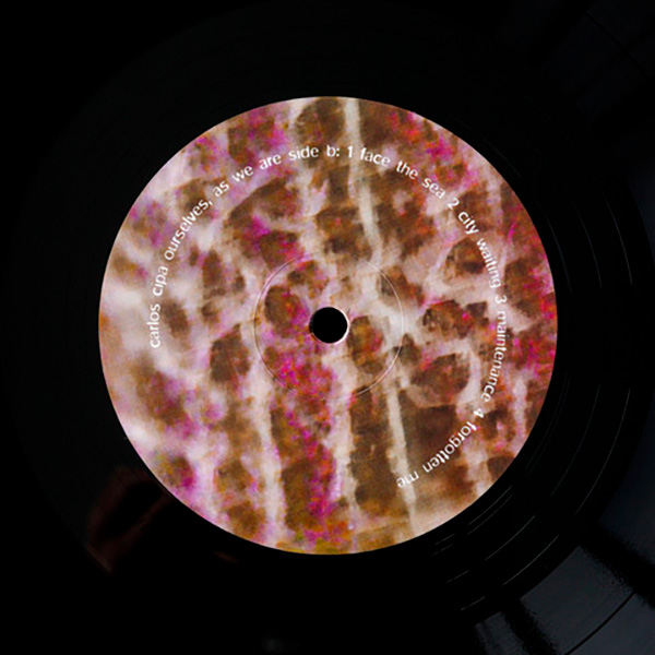 Виниловая пластинка Carlos Cipa – Ourselves, as we are LP - рис.2
