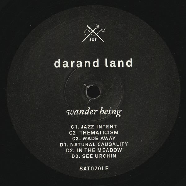 Виниловая пластинка DaRand Land - Wander Being - 2LP - рис.6