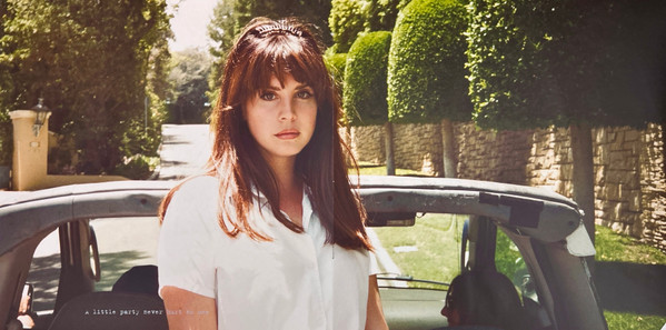 Виниловая пластинка Lana Del Rey - Honeymoon - 2LP - рис.16