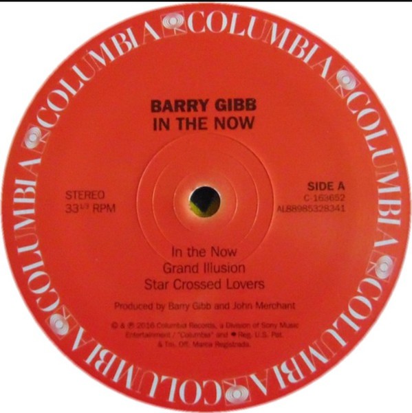 Виниловая пластинка Barry Gibb - In The Now - рис.2