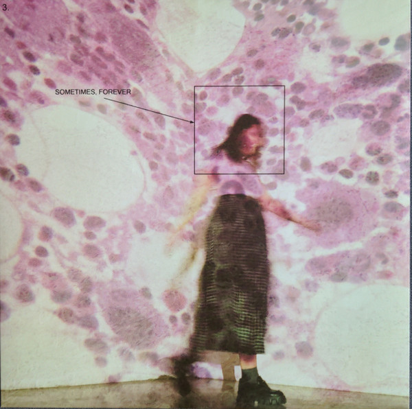Виниловая пластинка Soccer Mommy – Sometimes, Forever LP - рис.0