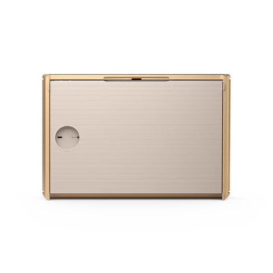 Портативная колонка Bang&Olufsen Beosound Level Gold Tone - Light Oak - рис.7
