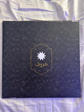 Виниловая пластинка Coldplay – Everyday Life (Clear Eco) 2LP - рис.2