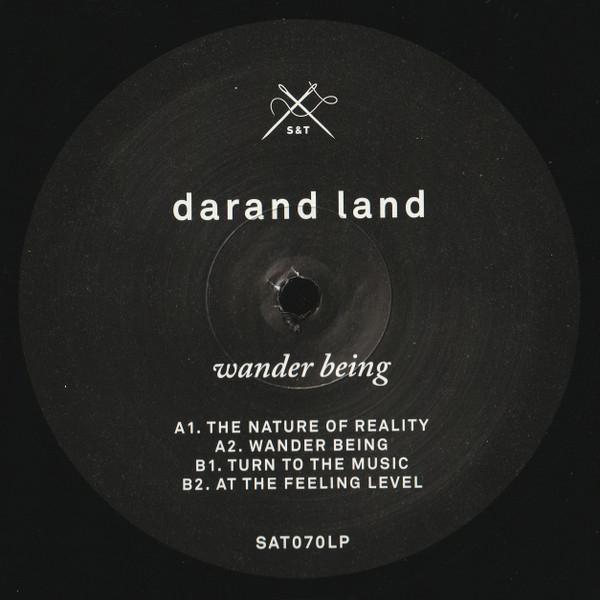 Виниловая пластинка DaRand Land - Wander Being - 2LP - рис.4