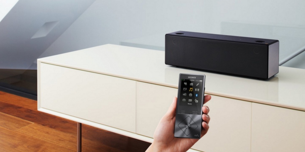 SONY NW-A25HN