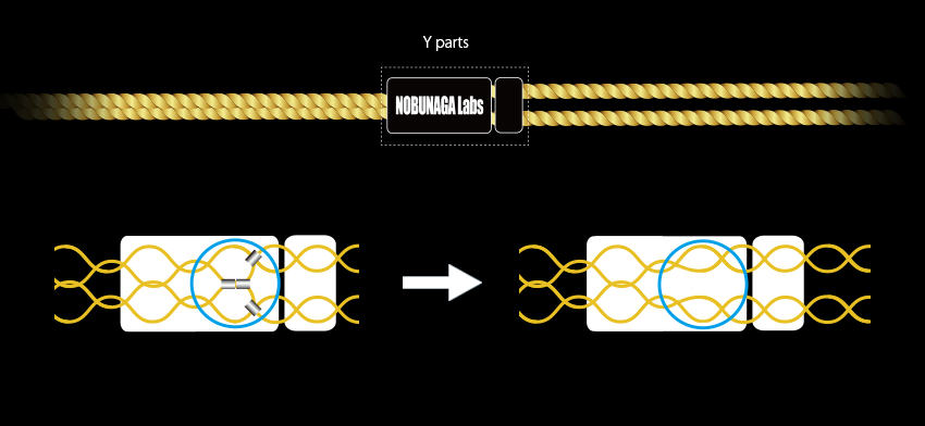 NOBUNAGA LABS SUPREME