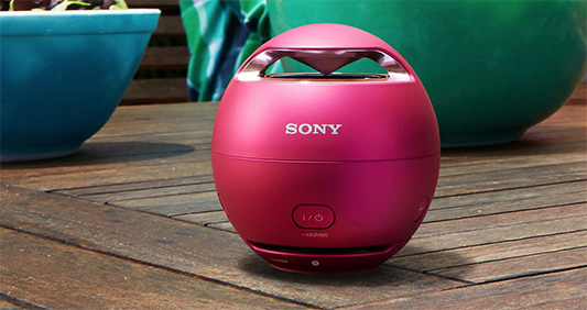 SONY SRS-X1
