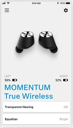 Sennheiser Momentum True Wireless