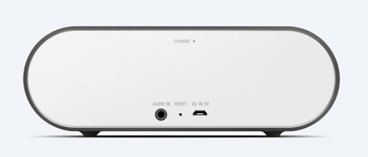 SONY SRS-X2