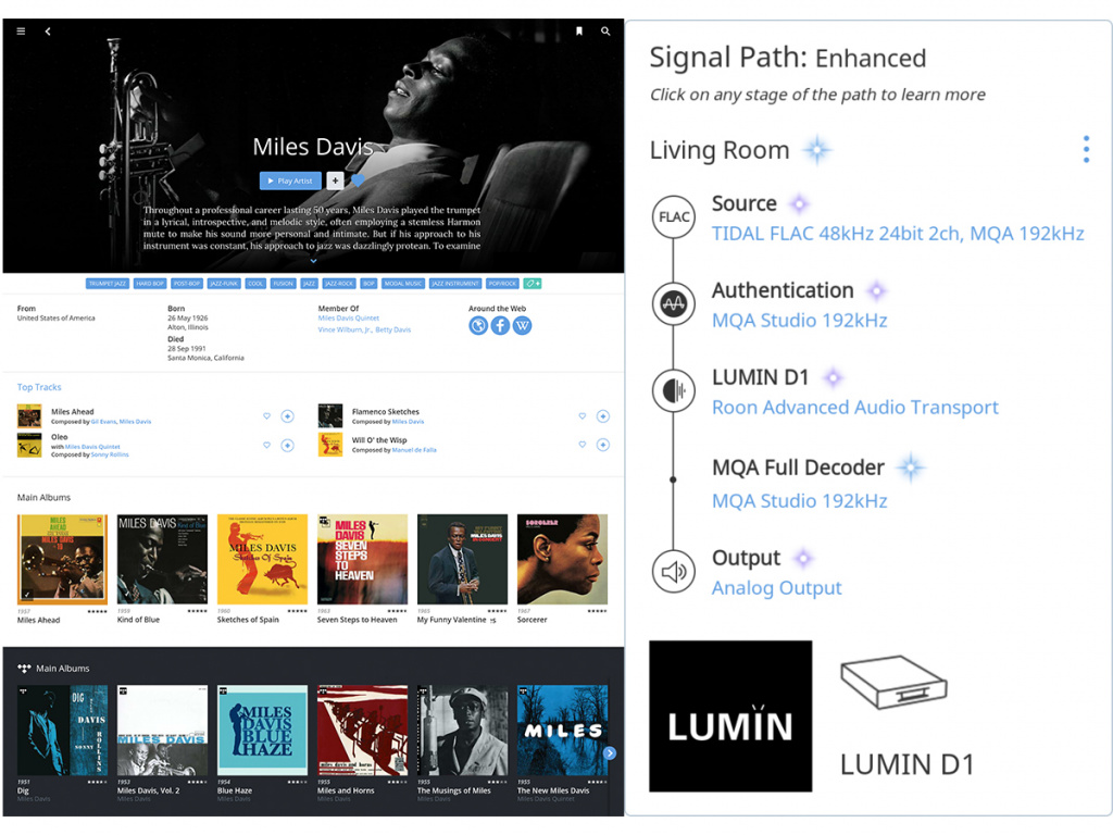 RoonLabs-Roon RoonLabs-Roon