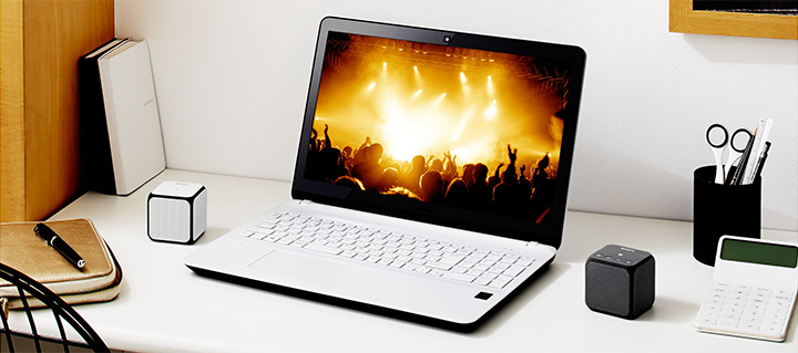 Беспроводная акустика SONY SRS-X11