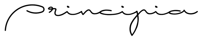 Sonus Faber Principia 7