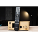 Усилитель для наушников Gold Note HP-10 BT Gold - рис.2
