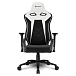 Компьютерное кресло Sharkoon Elbrus 3 White Black - рис.1