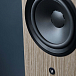 Напольная акустика Dynaudio Focus 30 Blonde Wood - рис.7