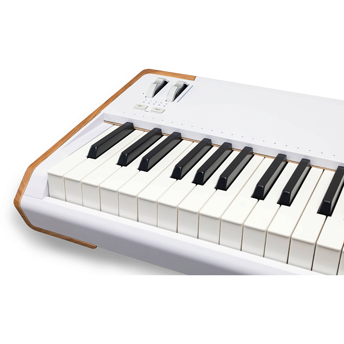 Синтезатор Arturia AstroLab 88 White - рис.7