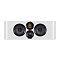 Wharfedale EVO 4.C White Oak