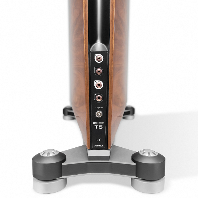 Напольная акустика Borresen T5 Silver Supreme Edition Walnut - рис.5