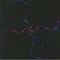 The Orb – No Sounds Are Out Of Bounds 2LP