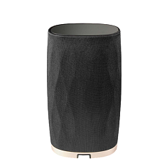Беспроводная акустика Bowers & Wilkins Formation Flex