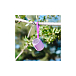 Портативная колонка Sony SRS-XB12 Violet - рис.4