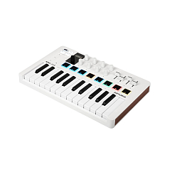 MIDI-клавиатура Arturia MiniLAB 3 midi-клавиатура и пэд-контроллер (SN 7030400831425010)_Уценка