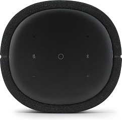 Портативная колонка Harman Kardon Citation 100 MKII Black