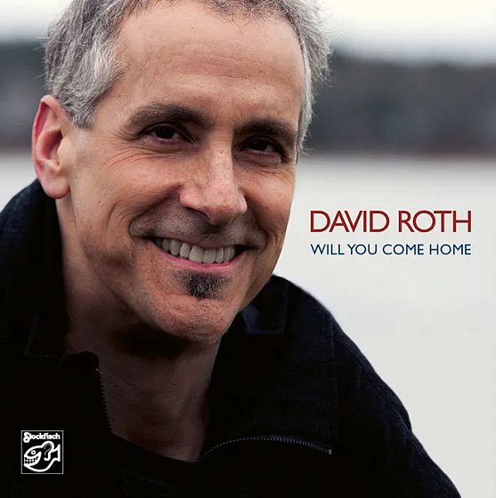Пластинка David Roth - Will You Come Home 180g 2LP - рис.0