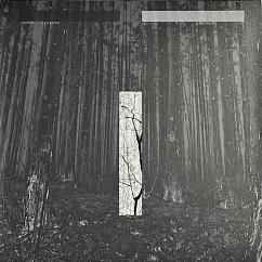 Виниловая пластинка Chris Liebing – Another Day 2LP