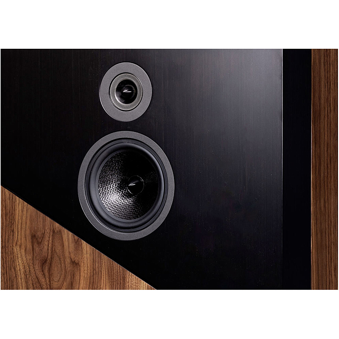 Напольная акустика Davis Acoustics THE WALL Walnut - рис.5