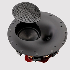 Встраиваемая акустика Perlisten Audio R2ic Black