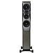 Напольная акустика Dynaudio Confidence 30 Smoke High Gloss - рис.1