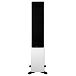 Напольная акустика Dynaudio Evoke 50 White High Gloss - рис.1