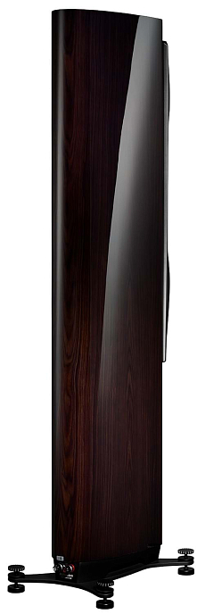 Напольная акустика Dynaudio Confidence 50 Raven Wood High Gloss - рис.2