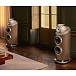 Напольная акустика Bowers & Wilkins 801 D5 Dark Walnut - рис.7