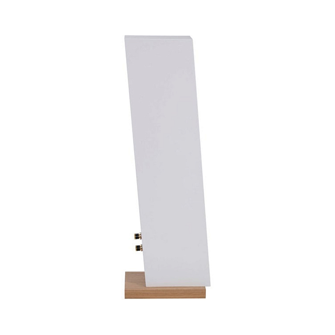 Напольная акустика Davis Acoustics Courbet N 8 White Matte - рис.4