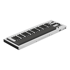 MIDI-контроллер Expressive E OSMOSE 49 CE White