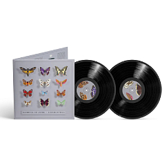 Виниловая пластинка Dominik Eulberg - Lepidoptera - 2LP